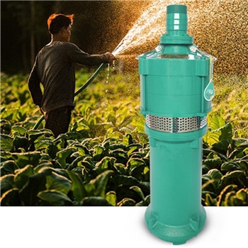 泰福潜水泵220V水泵家用抽水泵高扬程农用灌溉抽粪泥浆污水泵排污泵